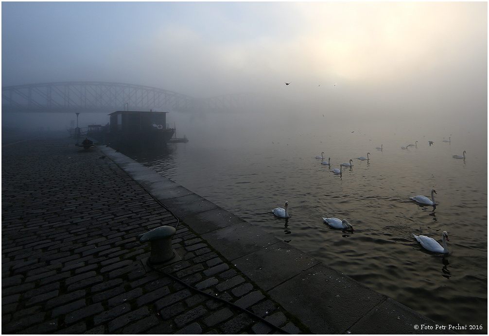Mlha na Vltavě
