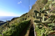 Madeira - levada Nova | fotografie