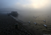 Mlha na Vltavě | fotografie